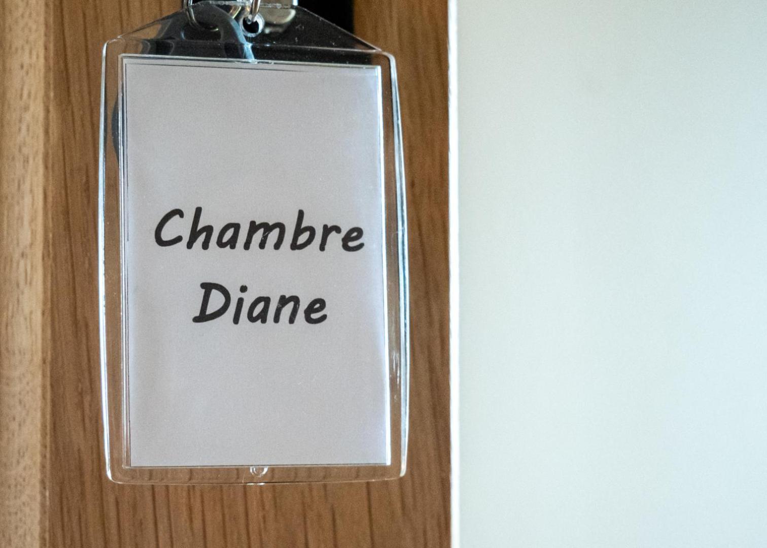 Chateau Du Bertry La Bouexiere Rom bilde